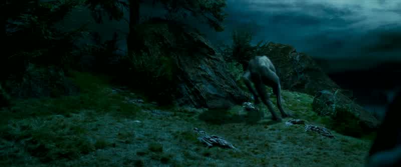 Sirius!