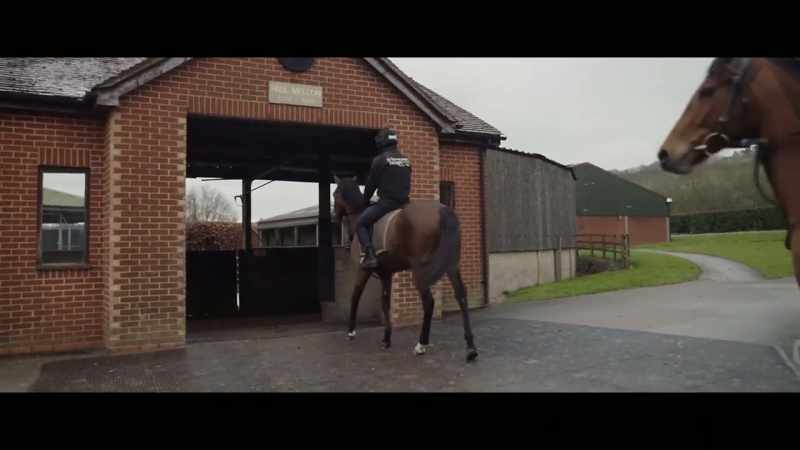 Sit tight. These are all cantering. They're going to be wild