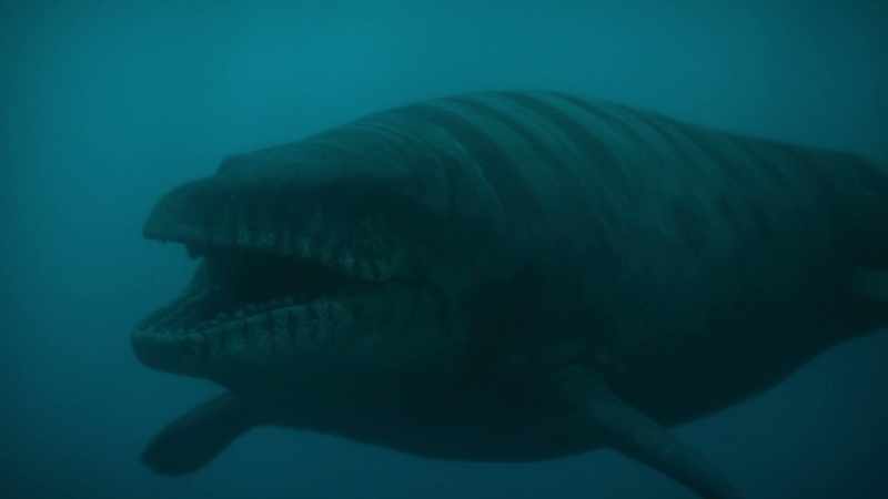 Size, speed and powerful jaws mean