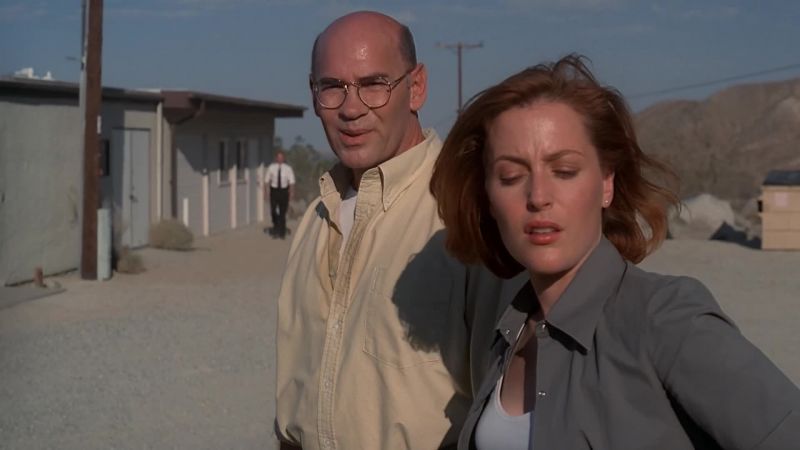 SKINNER: Don't look now