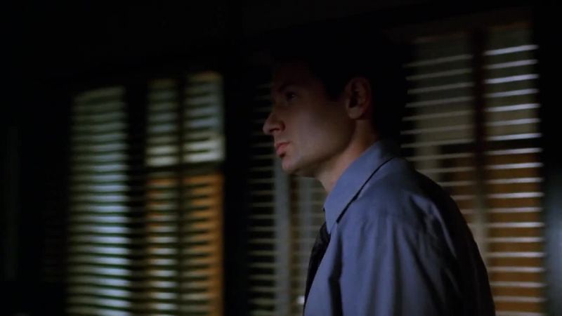 (Skinner) What is it, Agent IVlulder?
