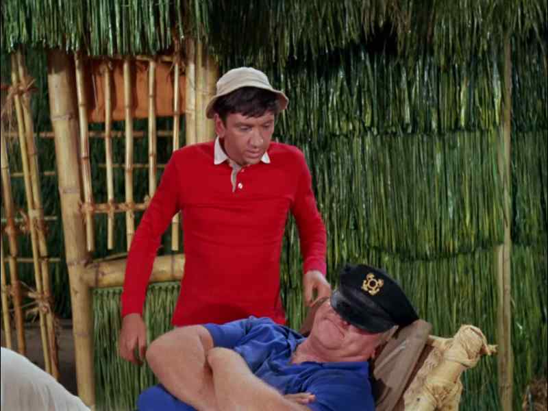 SKIPPER, ARE YOU ASLEEP?