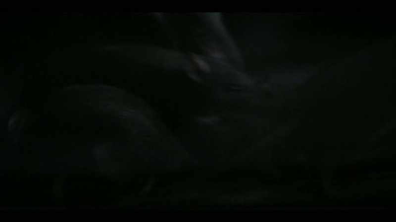 [skittering and squeaking]