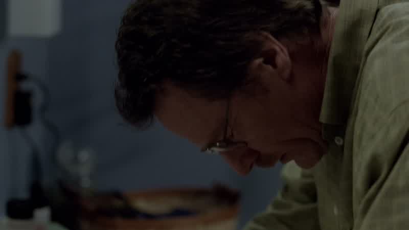 SKYLER: Walt, do you need some help?
