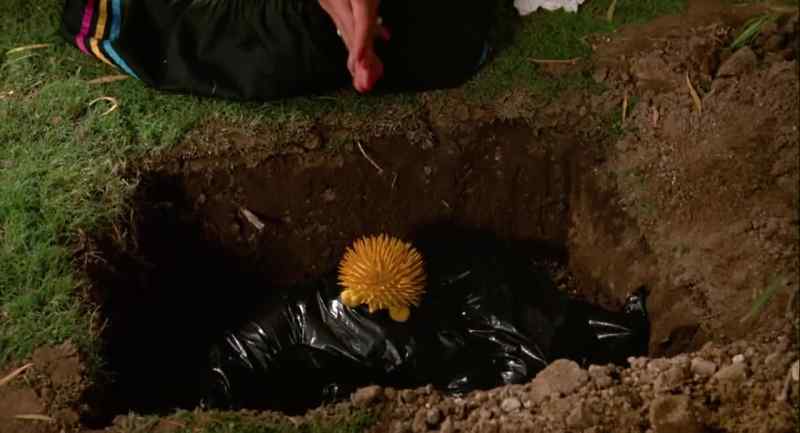 Sleep well, little prince