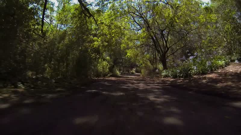 Slow down!