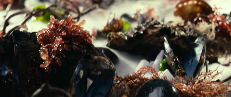 SLOWIK: Our first course is called 