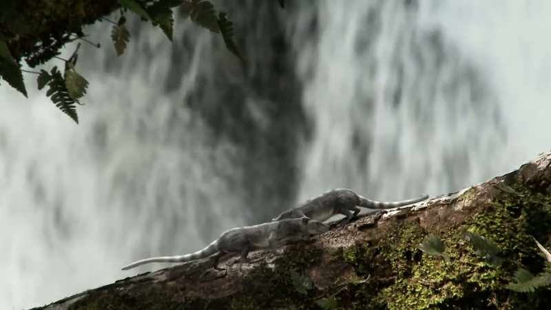 Small marsupials survived the mass extinction