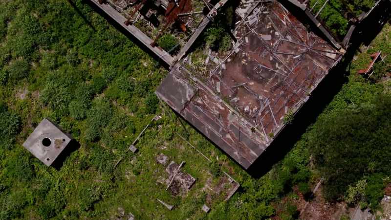 SMITH: If humans died out