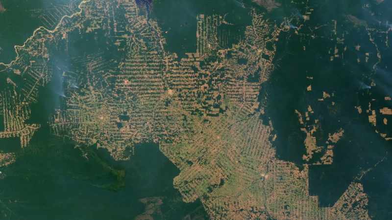 SMITH: The scars and scratches in the Earth's surface