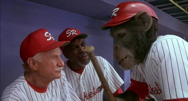Snafu Ed We don't carry bats in your size