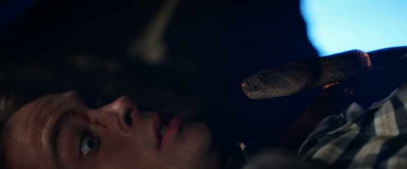 [snake hissing]