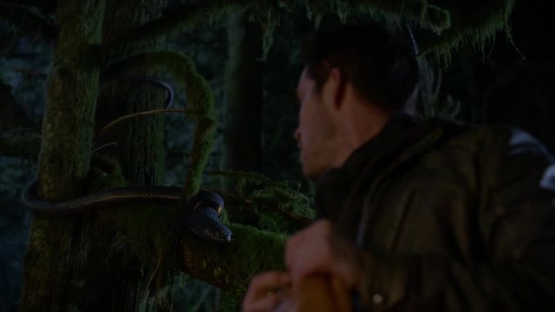 [ Snake hissing ]