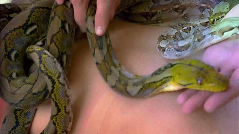 (snakes hissing)