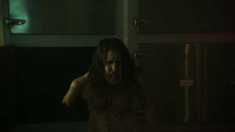 [snarling and growling]