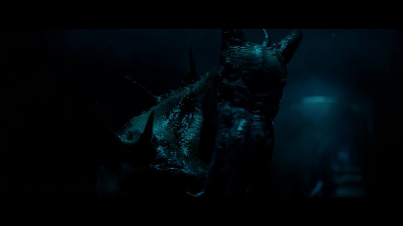(snarls)