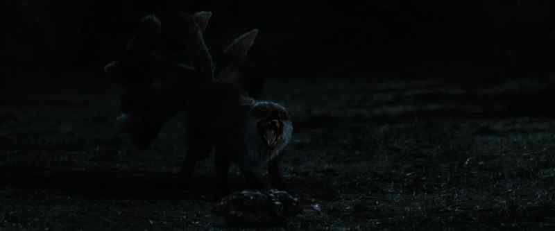 [SNARLS]