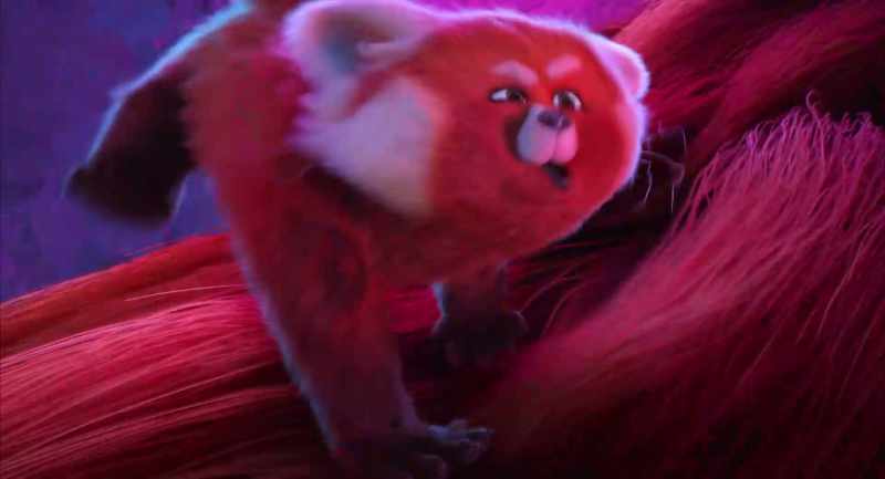 (SNARLS) - ...was to go to a concert!