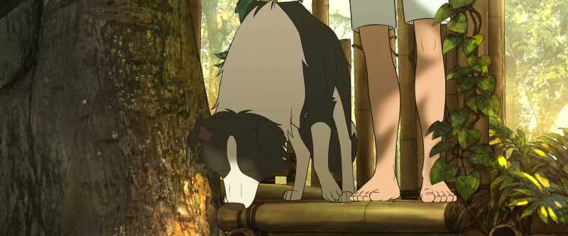 (SNIFFING)
