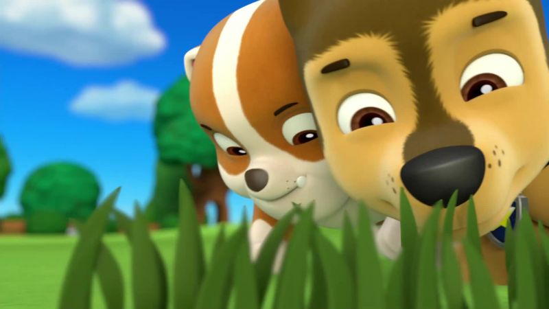 (Sniffing)