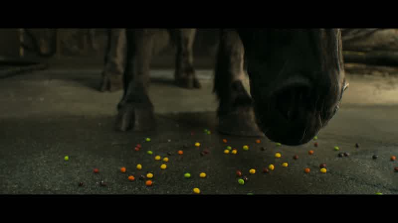 Taste the rainbow