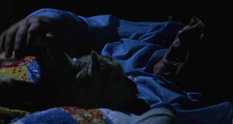 (SNORING)