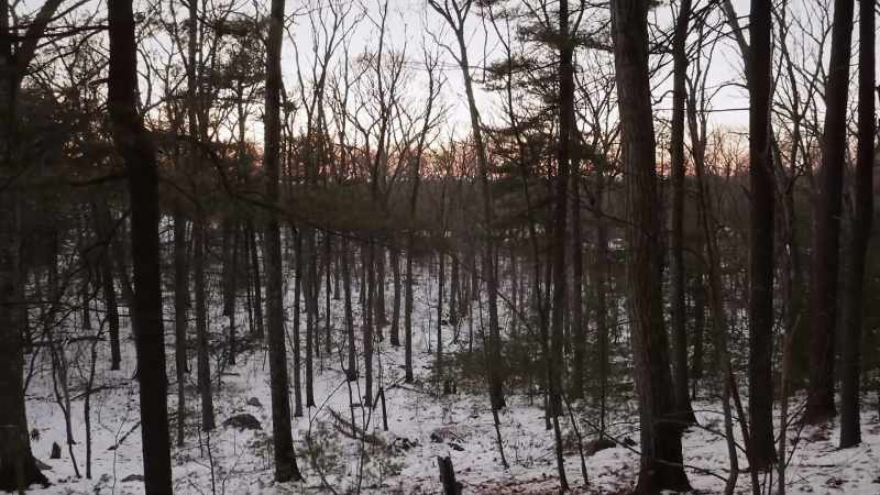 [snow crunching]