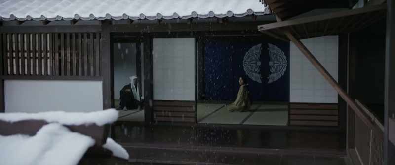 Snow is falling Shall I close the doors?