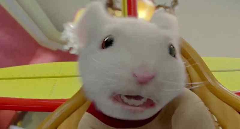 Snowbell, get out of the way!