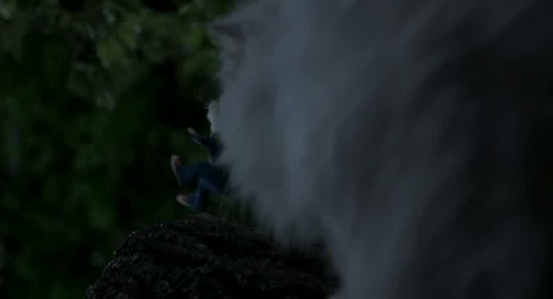 Snowbell
