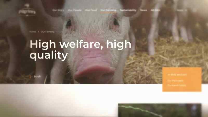 So a charity that's set up to protect animals