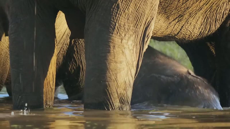 'So a trip to the river means it's time to play