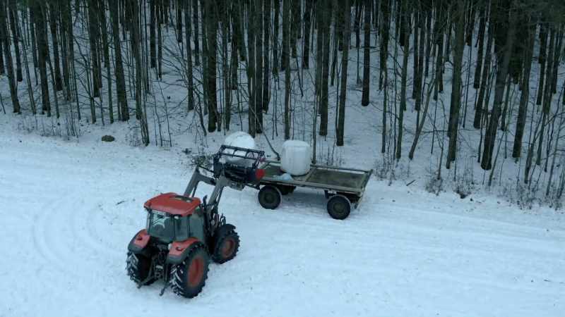 So he also arranges for a local farmer to drop hay around the forest
