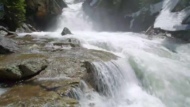 So begins another cycle in yellowstone