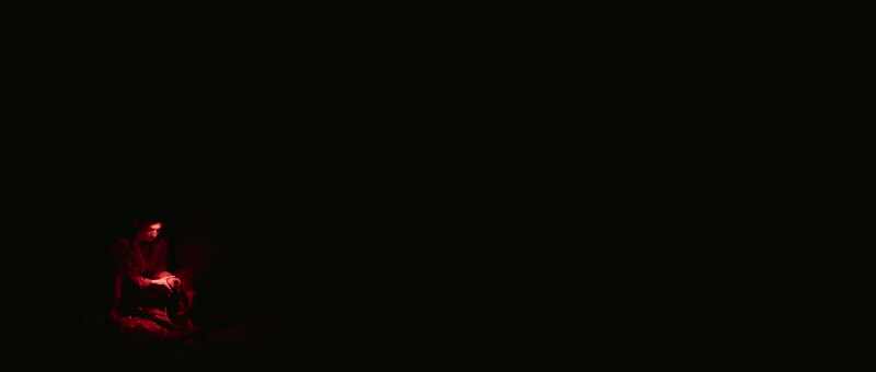 So, you can tell this is a predatory firefly