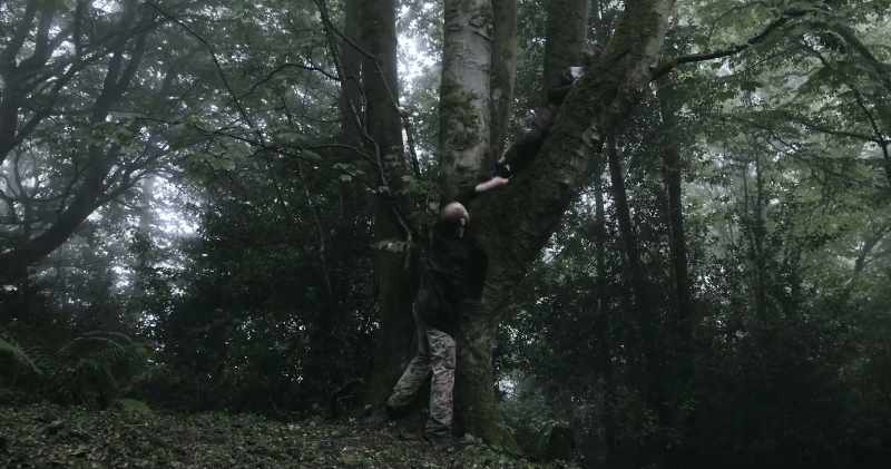 So, come on, down from the tree. Yeah?