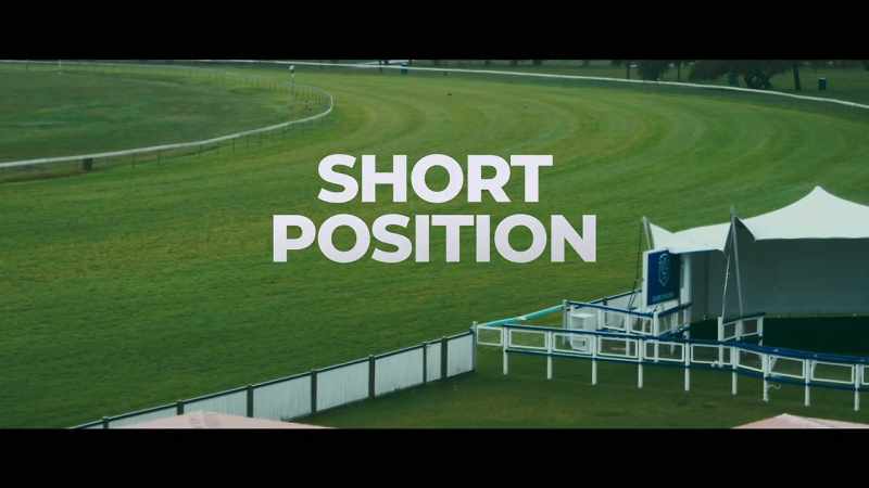 So you decide to take a short position
