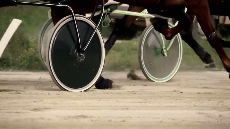 So when did the wheel roll onto the human stage