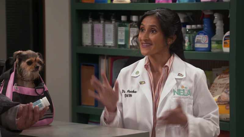 So, Doctor, if Churro needs one tranquilizer