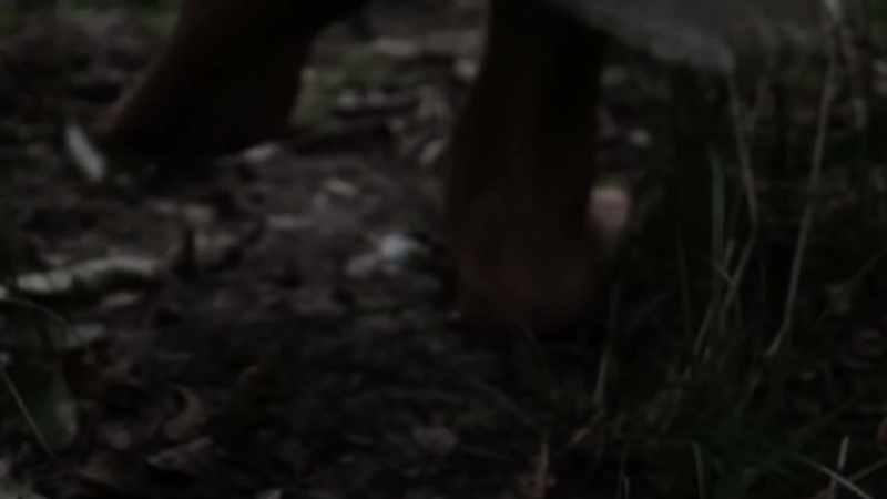 So someone drove Gary's truck barefoot