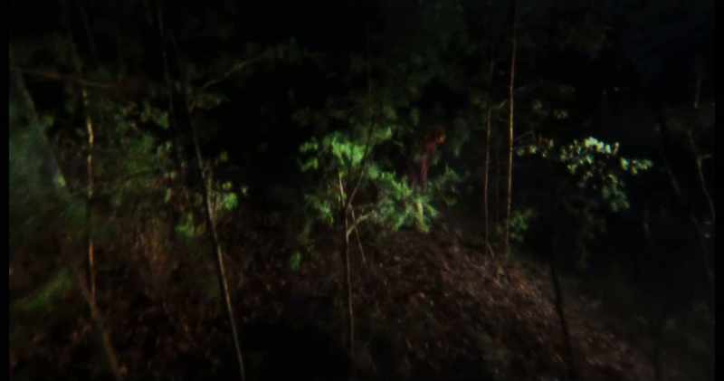 So Ellen is running all night long through the woods