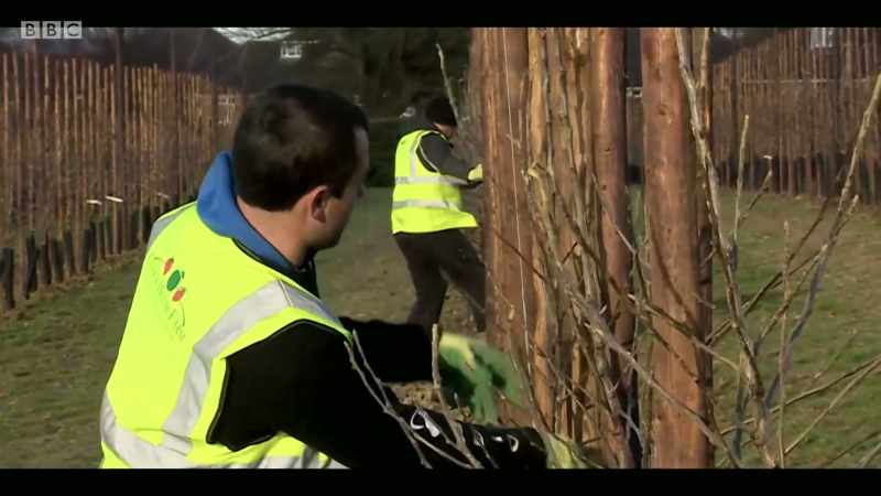 So, for example, we could begin work on restoring degraded land