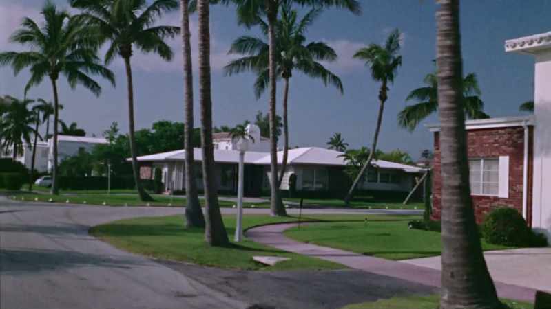 So my family moved to Miami