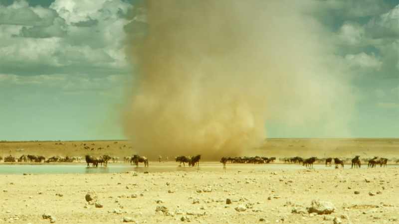 So far, we've endured a devastating drought