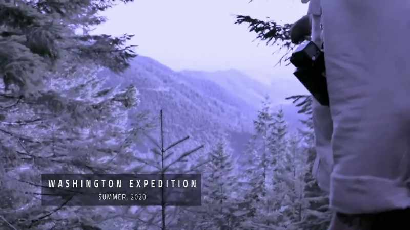 So you got plenty to eat and look how thick the trees are around it