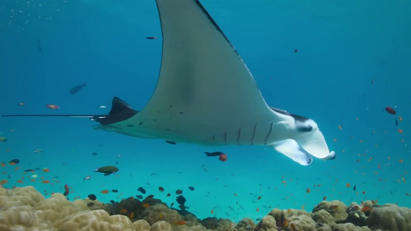 So, if he doesn't push his luck