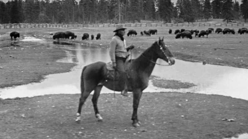 So, he was half Blackfeet, half Spaniard, or Mexican