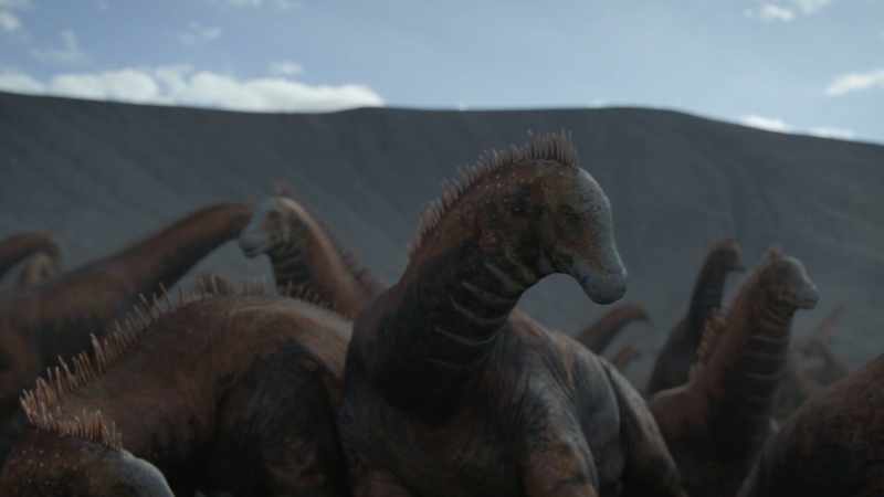 So how did dinosaurs take care of their eggs?