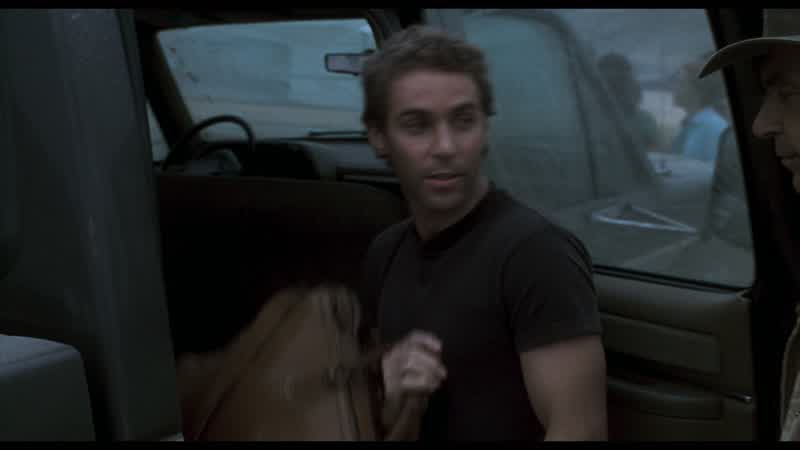 Well it's not too late to change your major BillyThat good huh WorseWe'll have to pack up in four weeksThreeI had to rent some equipmentCome here I got to show you somethingYou like computers rightI