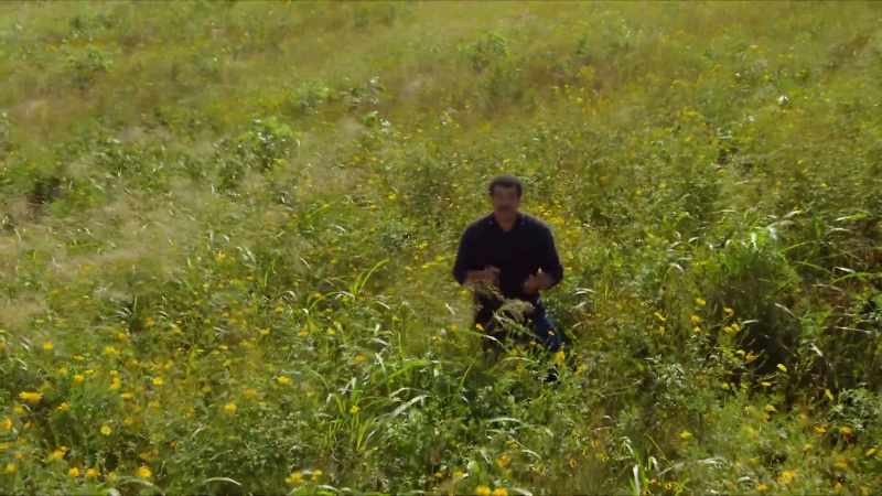 So, how did the painted bee reveal the exact location